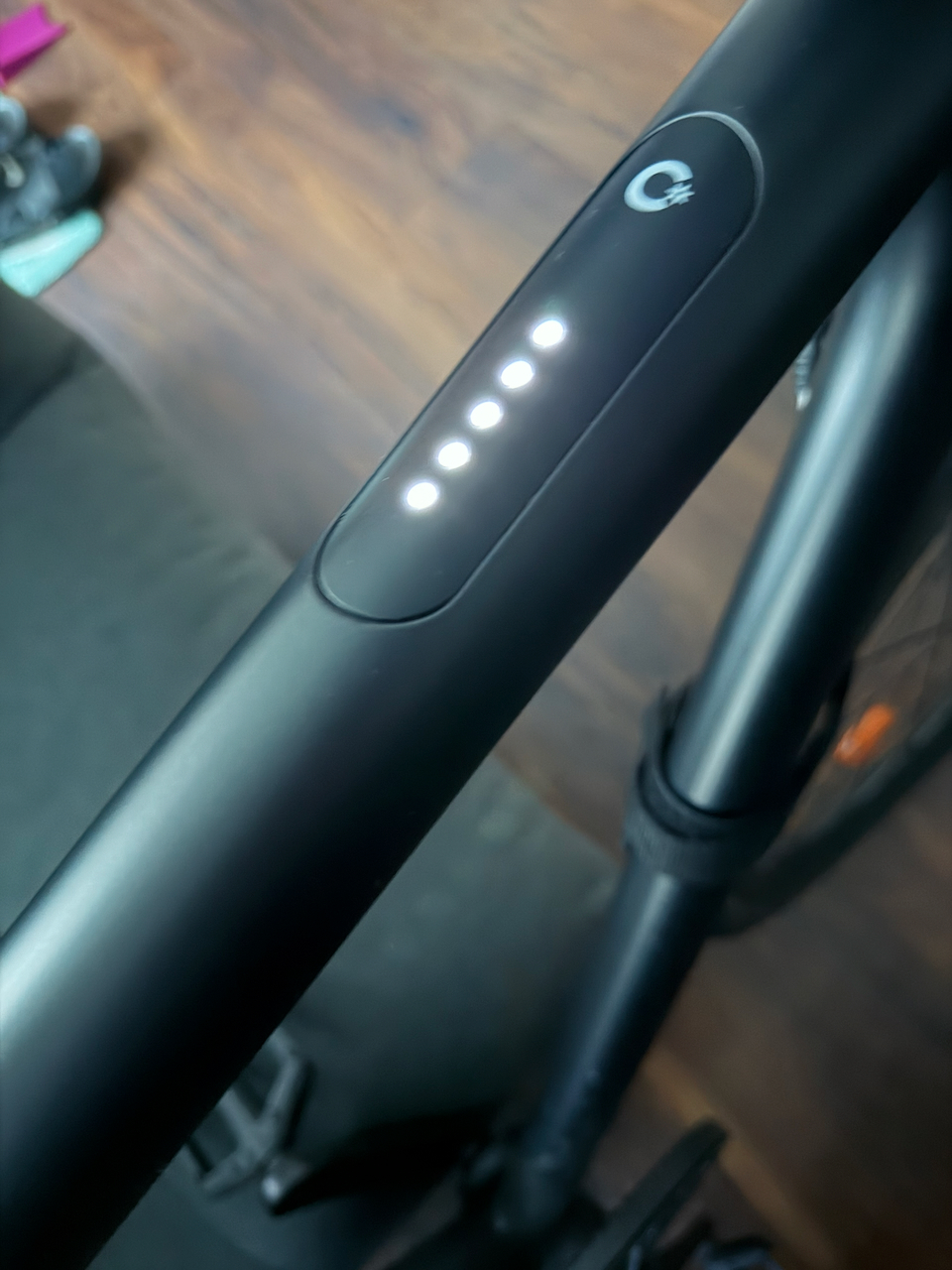 Cowboy Cowboy 2 2020