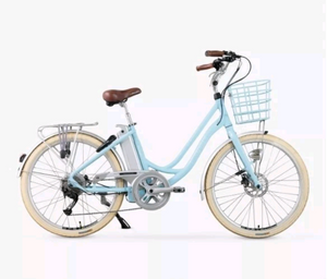 Volt  Kensington  2020