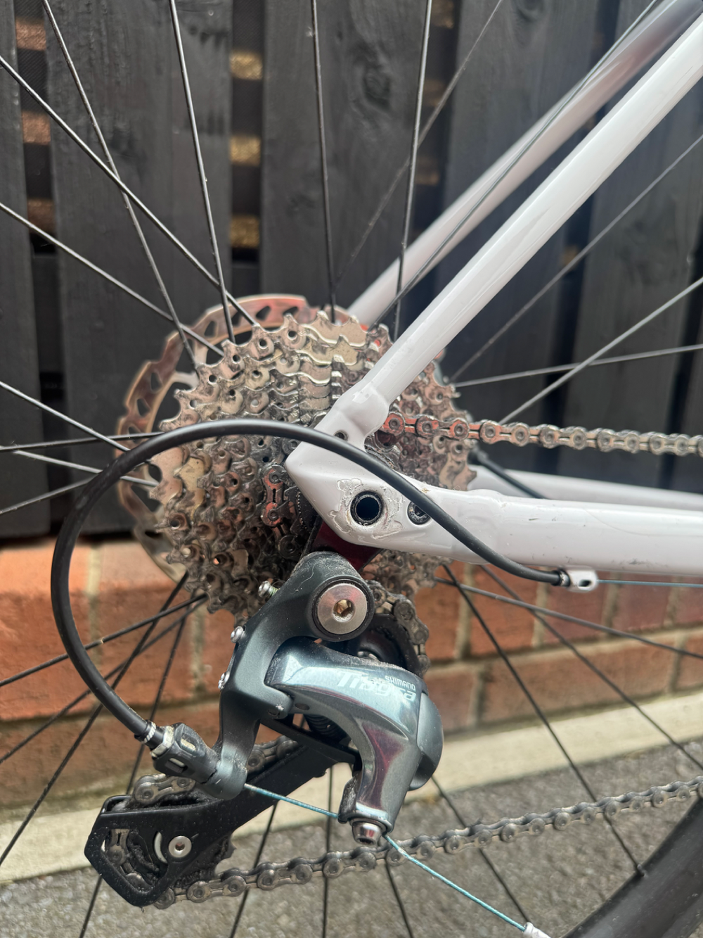 Specialized Allez Sport E5 Disc 2023