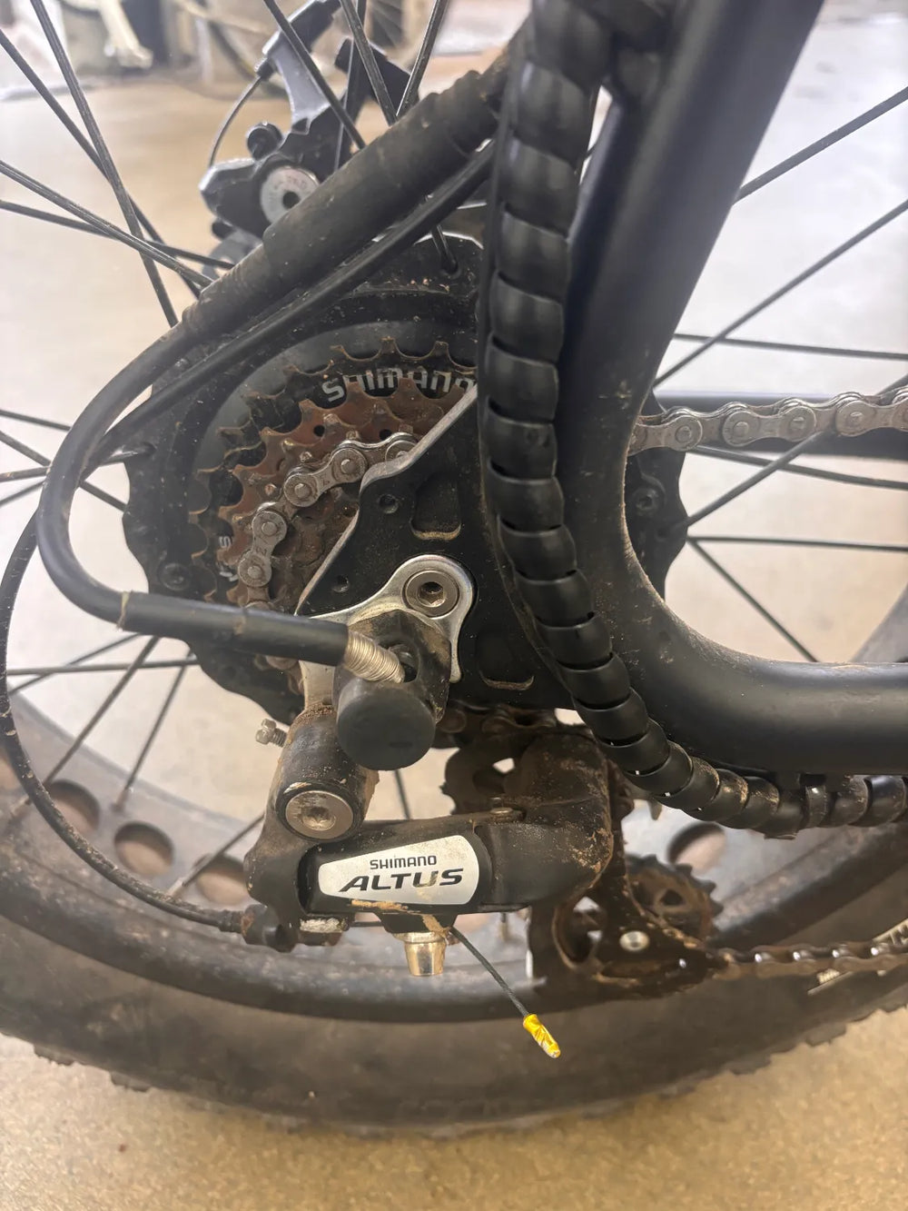 Synch Super Monkey (Short Tail) 2021