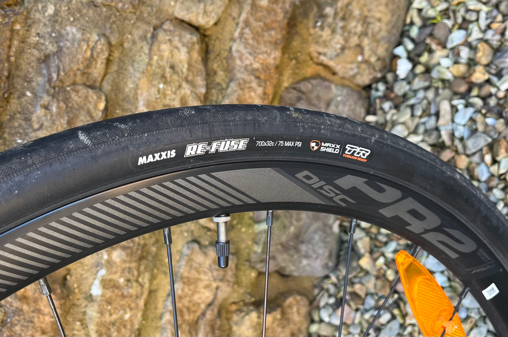 Giant E+2 Pro 2020