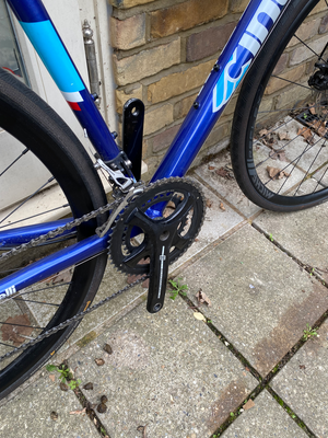 Cinelli Semper Disc 2019