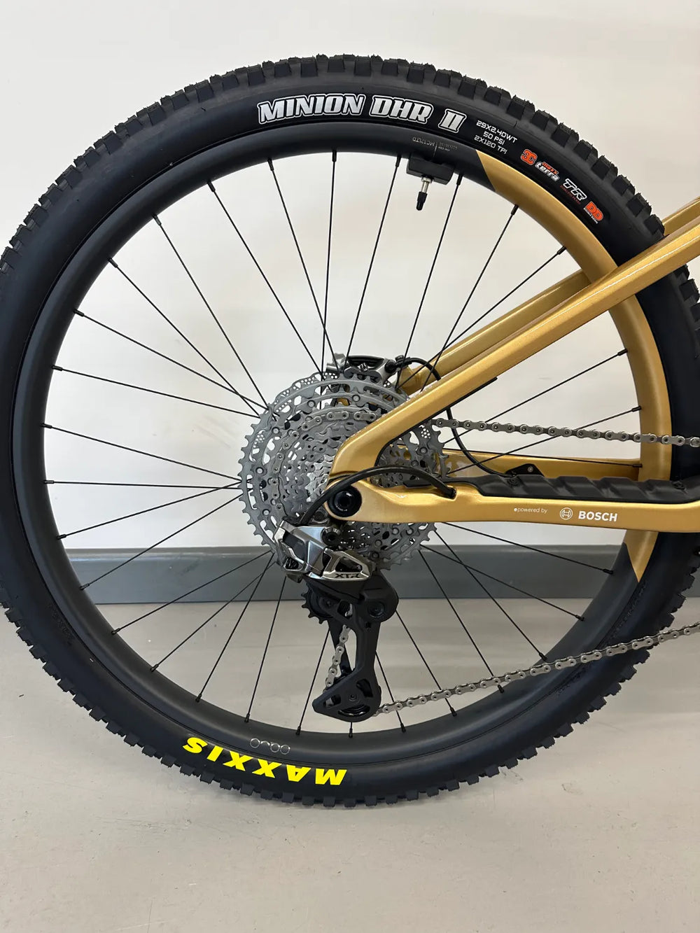 Orbea Wild M-ltd 2026