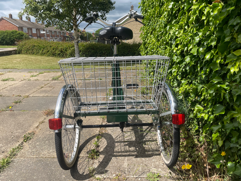 Pashley Picador 1975