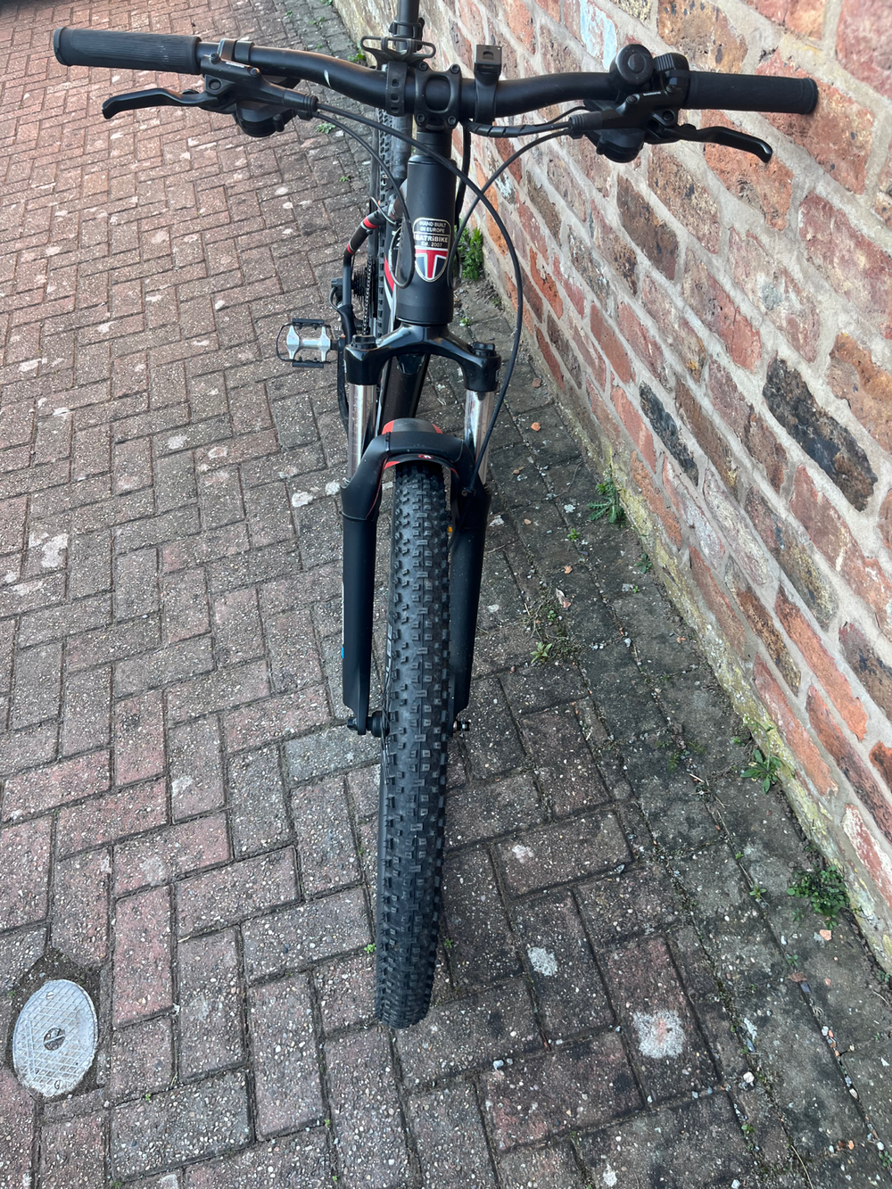 Batribike Delta Electric 2024
