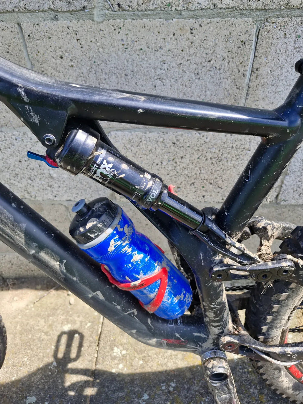 Specialized Men's Stumpjumper Comp Alloy 29  - 12-speed 2020