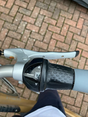 Gazelle HeavyDutyNL C7+ Low-Step 2020