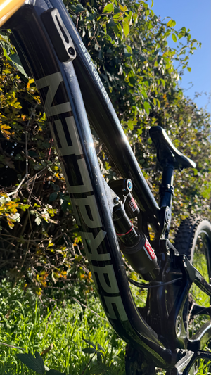 Saracen Myst Team 2024
