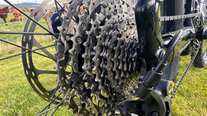 Mondraker CHASER 29 2021