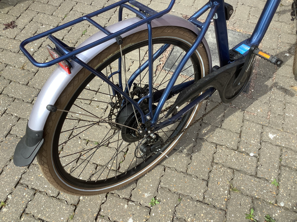 Raleigh Array E Motion Low Step 2022
