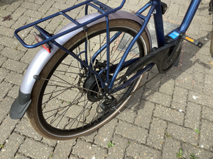 Raleigh Array E Motion Low Step 2022