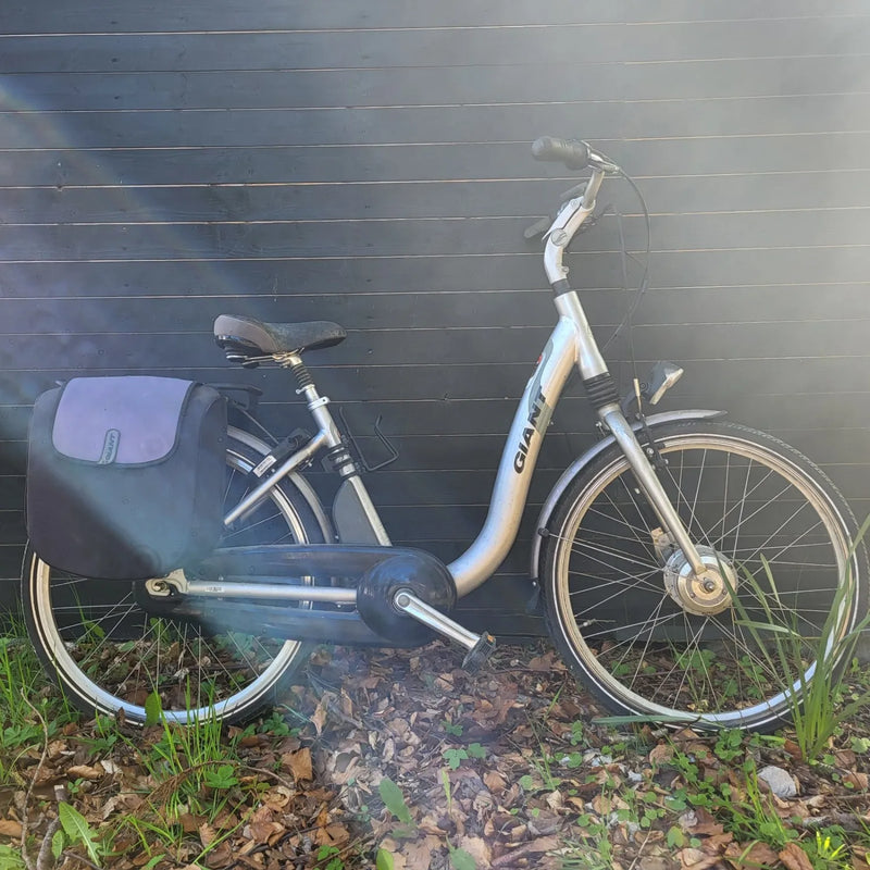 Giant Twist Elegance 2008