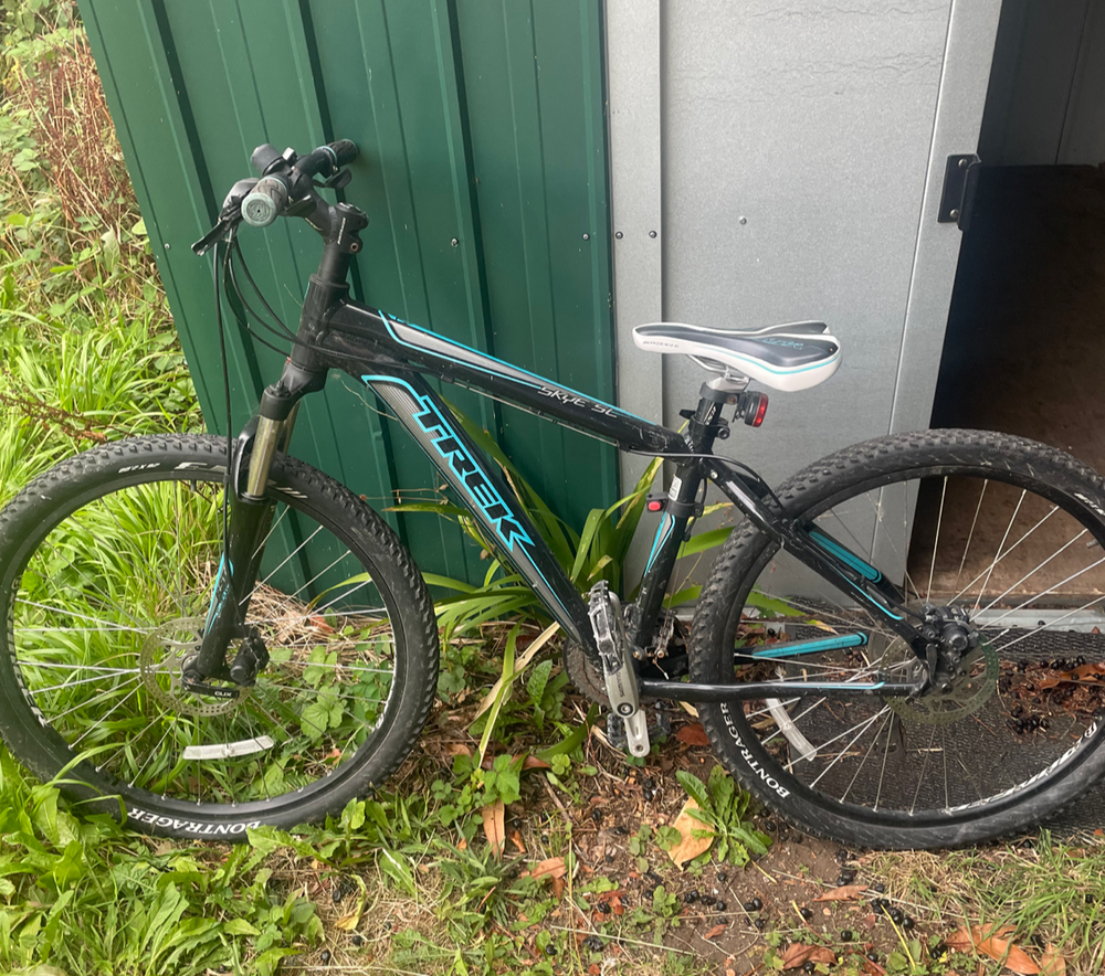 Trek Skye SL 2018