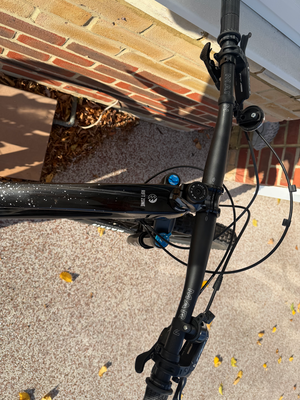 Marin Rift Zone Carbon 29 2 2024