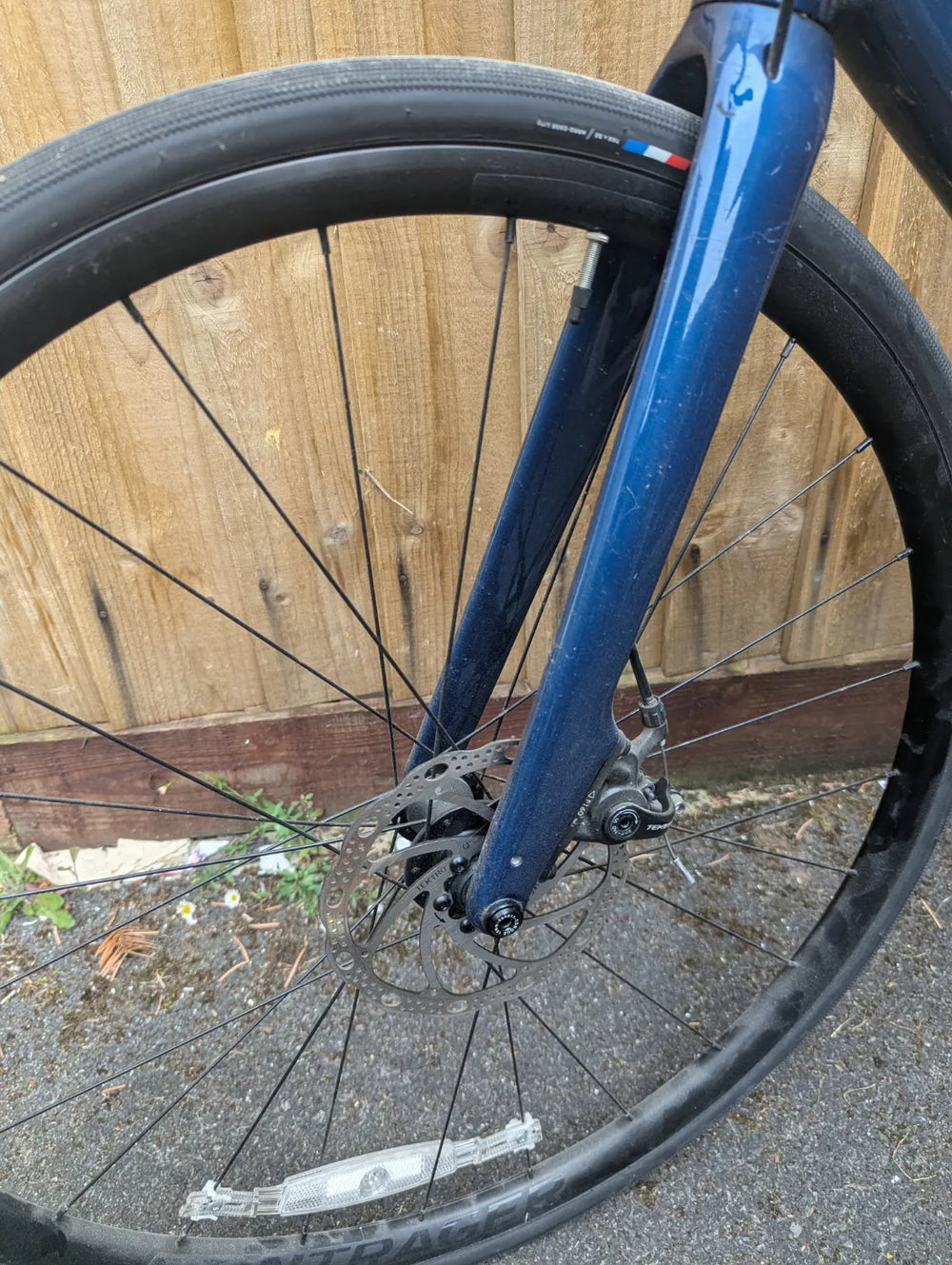 Trek Domane AL 2 Disc 2024