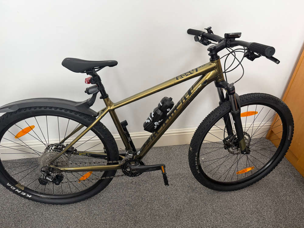 Bergamont Revox 6 2022