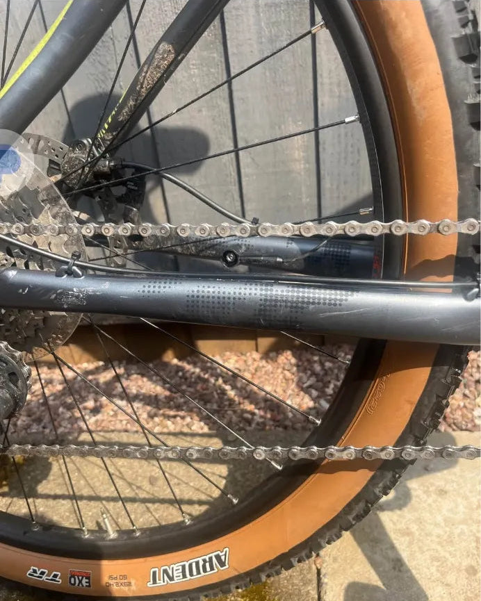 Voodoo Bizango E 2023