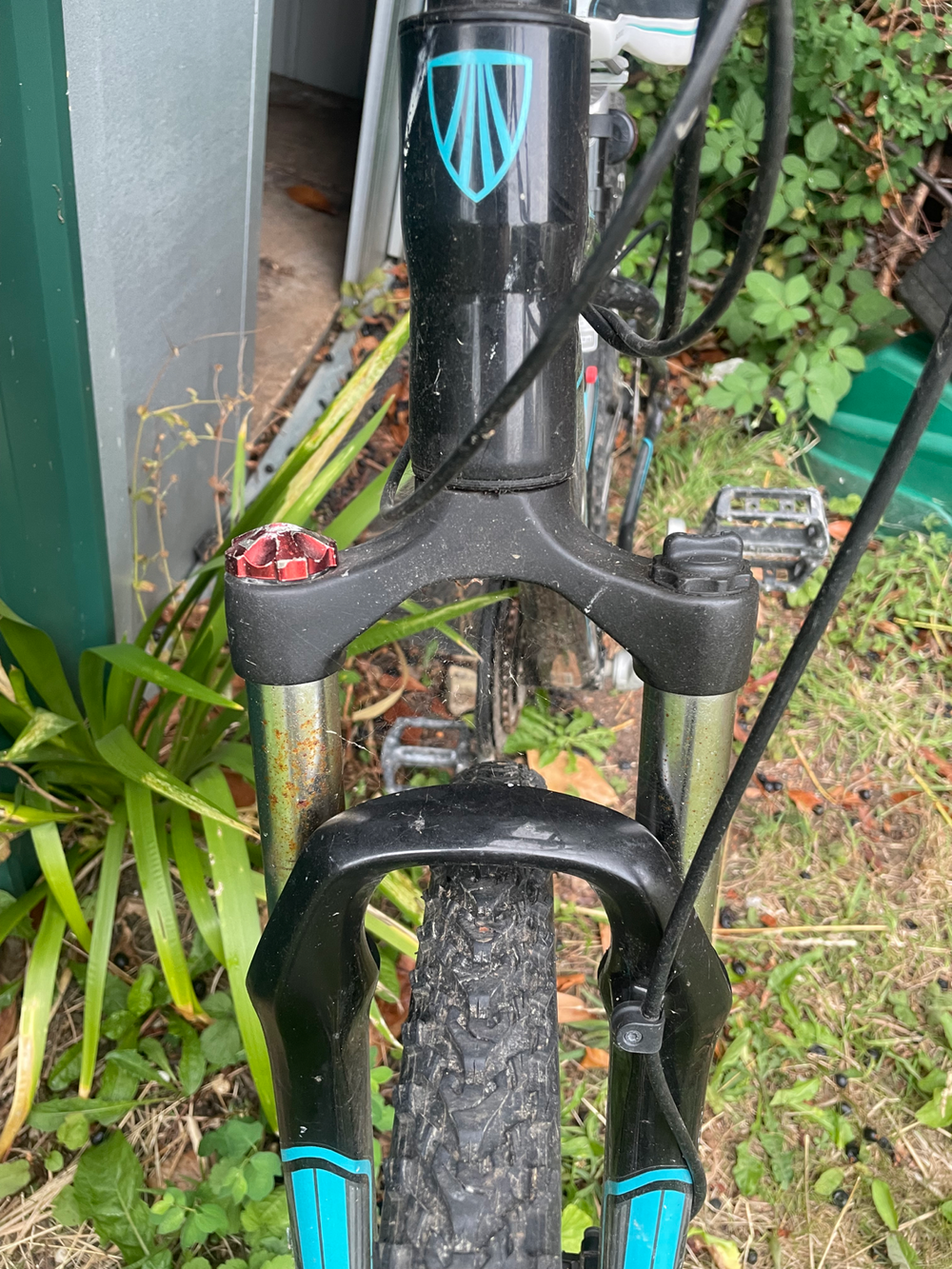 Trek Skye SL 2018