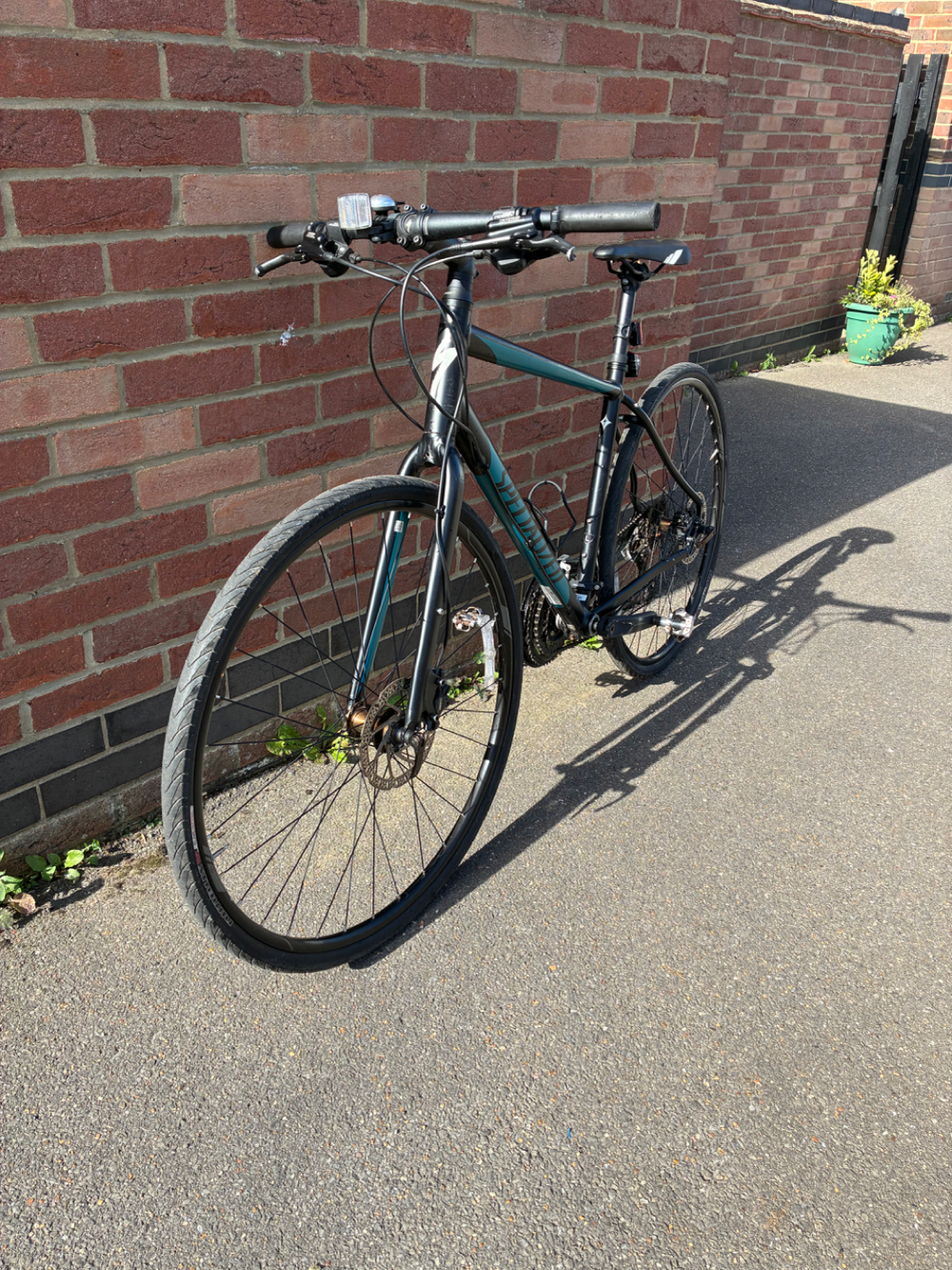 Specialized Vita Sport 2015
