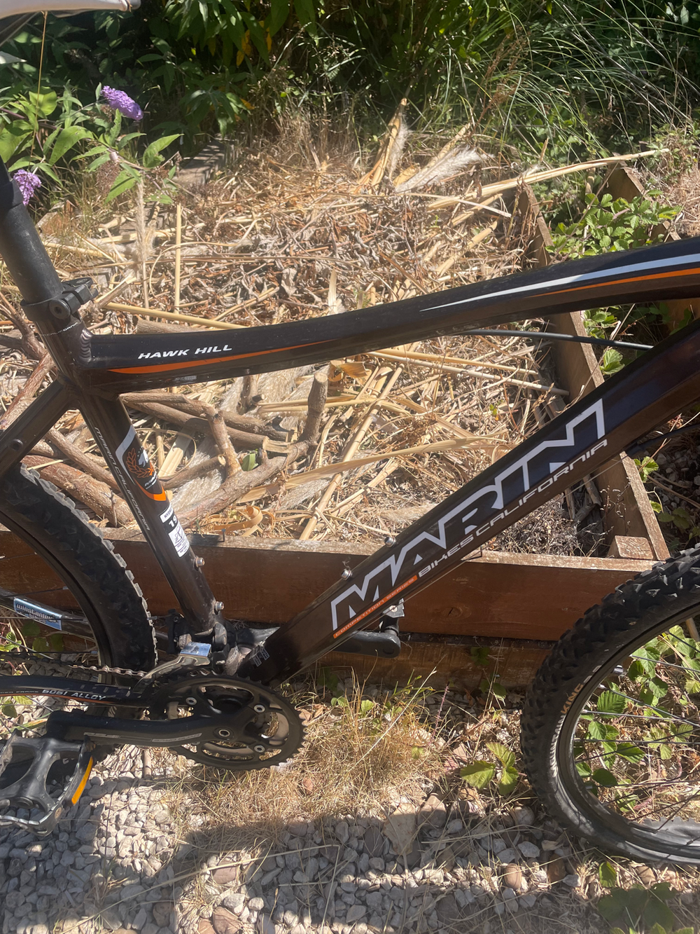 Marin Hawk Hill 2019