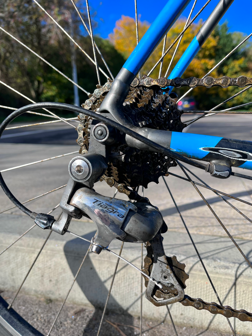 Specialized Allez Elite 2015