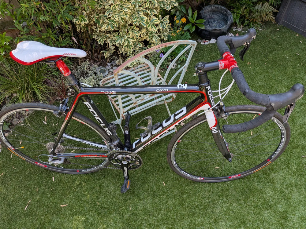 Focus Cayo Ultegra 2016