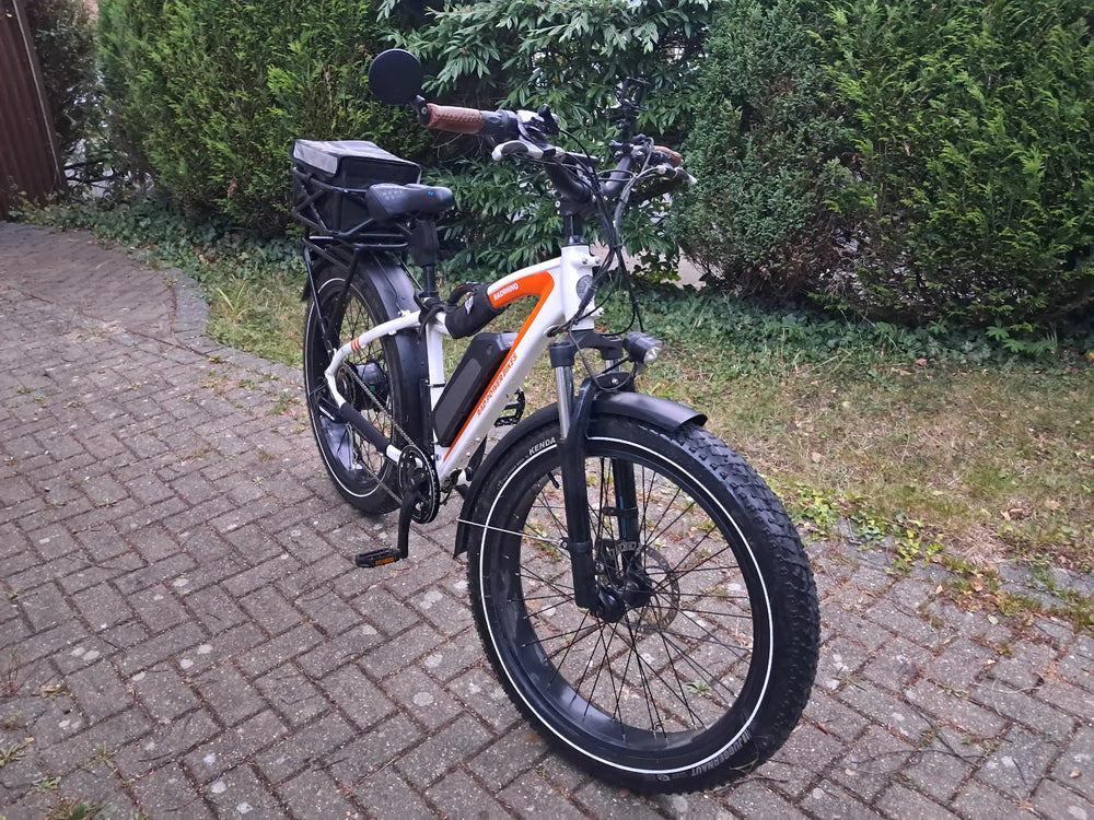 Rad Power Bikes Rhino 5 2020