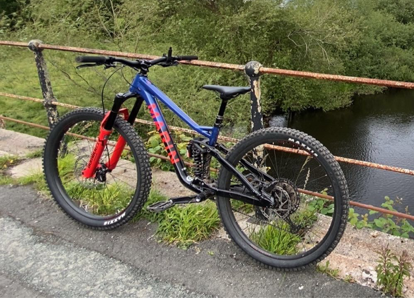 Marin Alpine Trail XR 2023