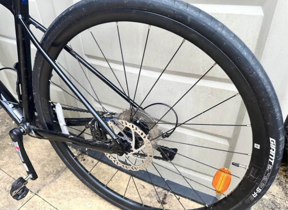 Giant Contend AR 4 2024