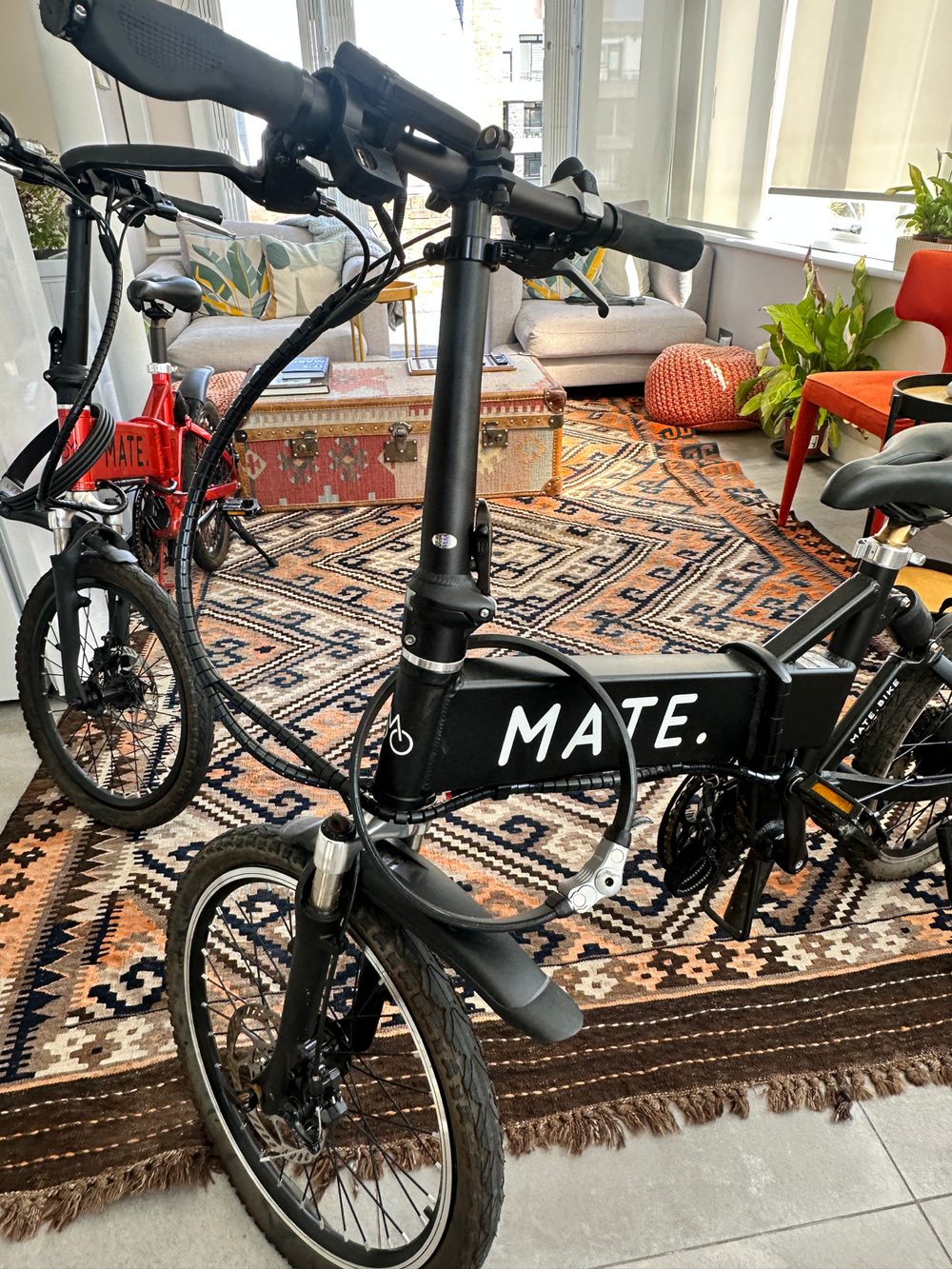 Mate. Mate city 250w 2021