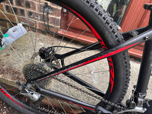 Specialized Rockhopper 29 2016