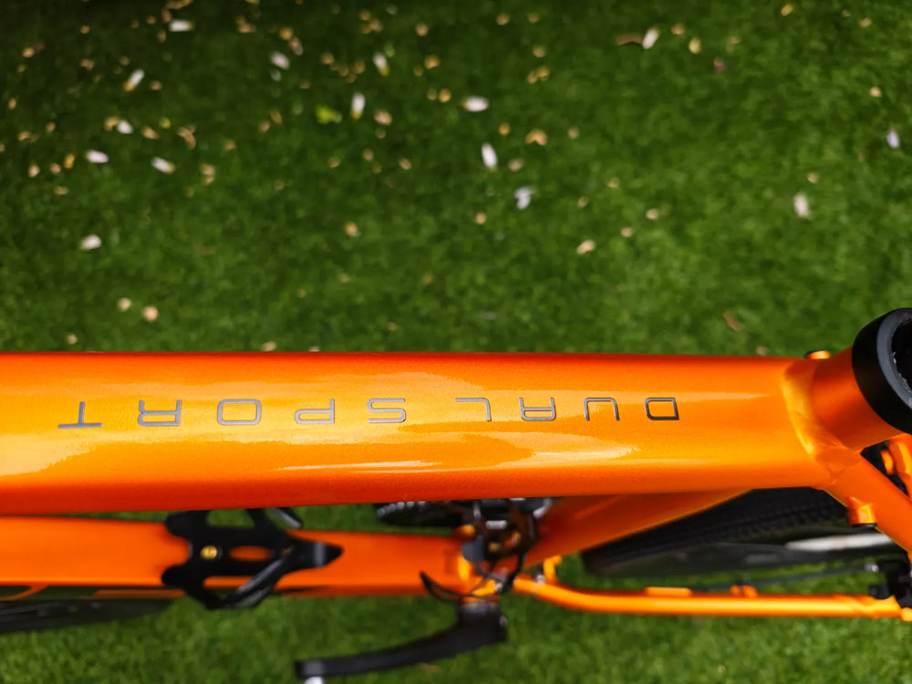 Trek Dual Sport 3 Disc 2021