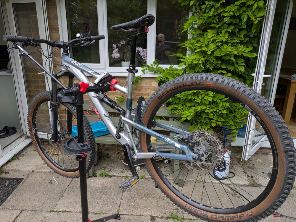 Kellys Thorx 10 2021