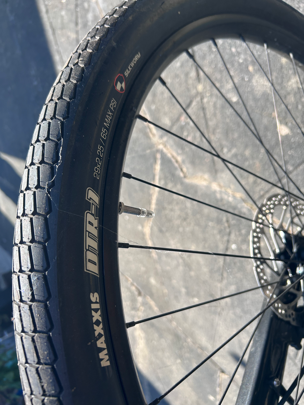 Cannondale Canvas Neo 2 2024