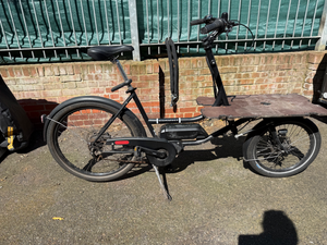 Bicicapace Pelican 2024