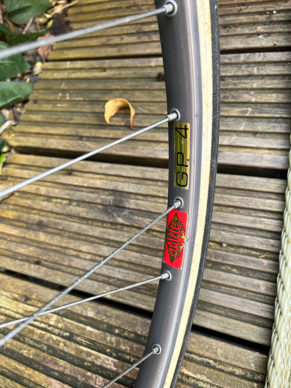Colnago Super profil 1981
