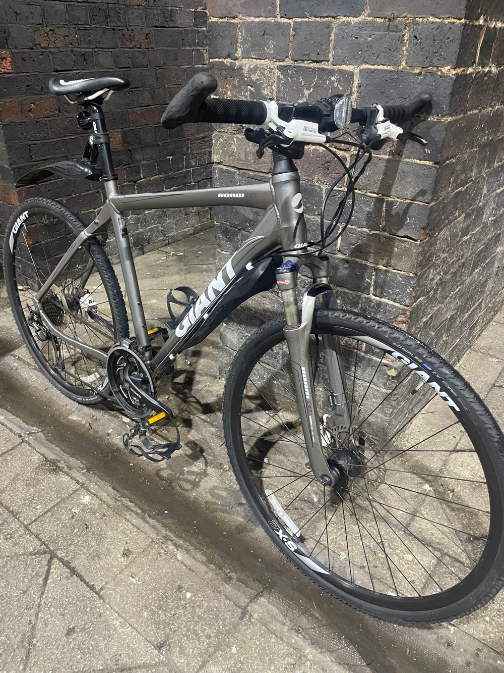 Giant Roam 2 (2015) 2014