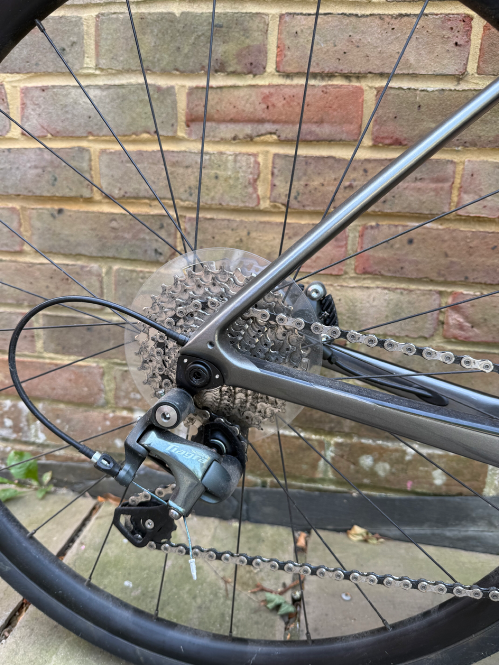 Giant Defy 3 2021