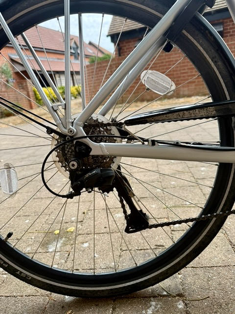 Ridgeback Cyclone 2019