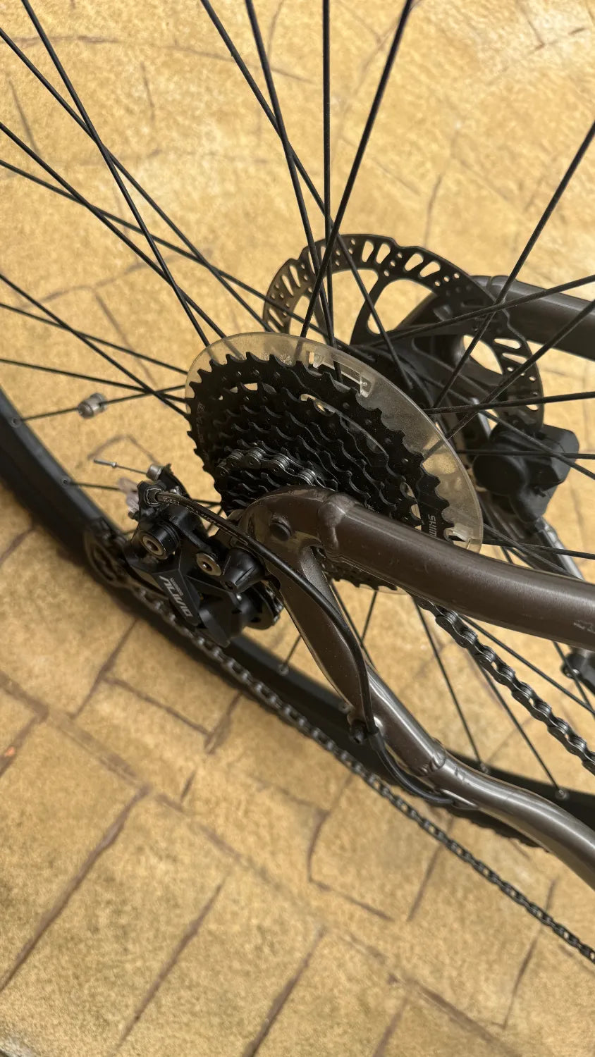 Giant Roam E+ Gts Hybrid 2022