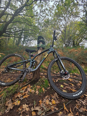 GT Sensor ST Carbon Elite 2024