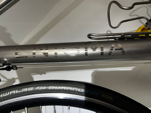 Enigma Evade Titanium