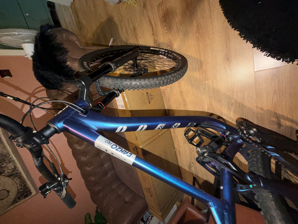 Voodoo Canzo Pro 2025