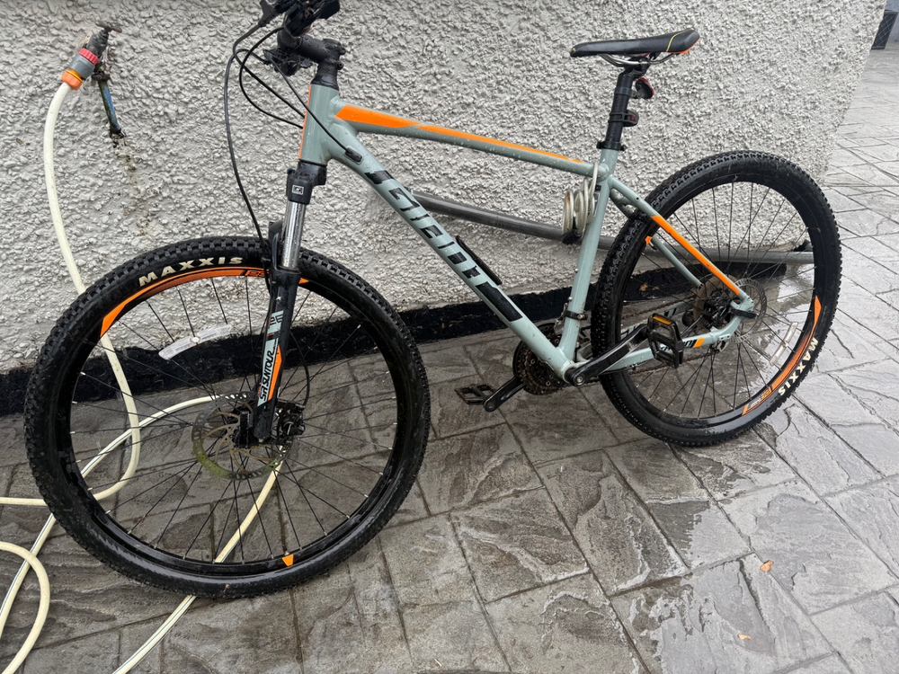 Giant Talon 3 2019