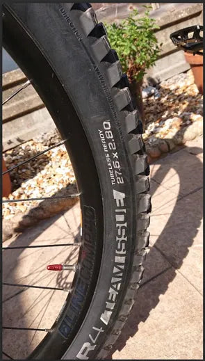Trek Fuel Ex 8 27.5 Plus 2019