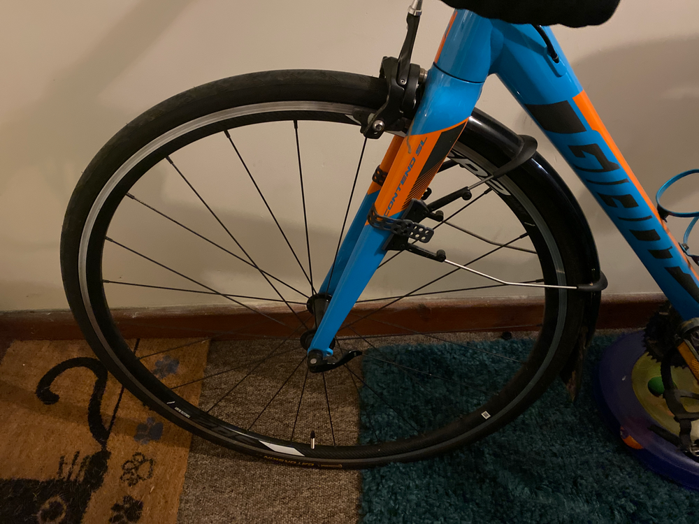 Giant Contend SL 1 2022