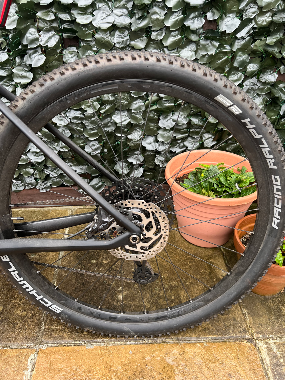 CUBE Reacton C:62 One 2019