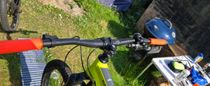 Saracen Ariel Elite 2020