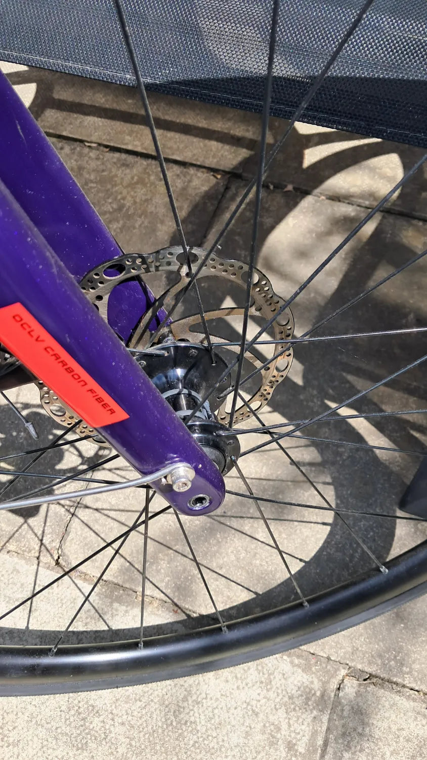 Trek Domane 2.0 Compact 2021