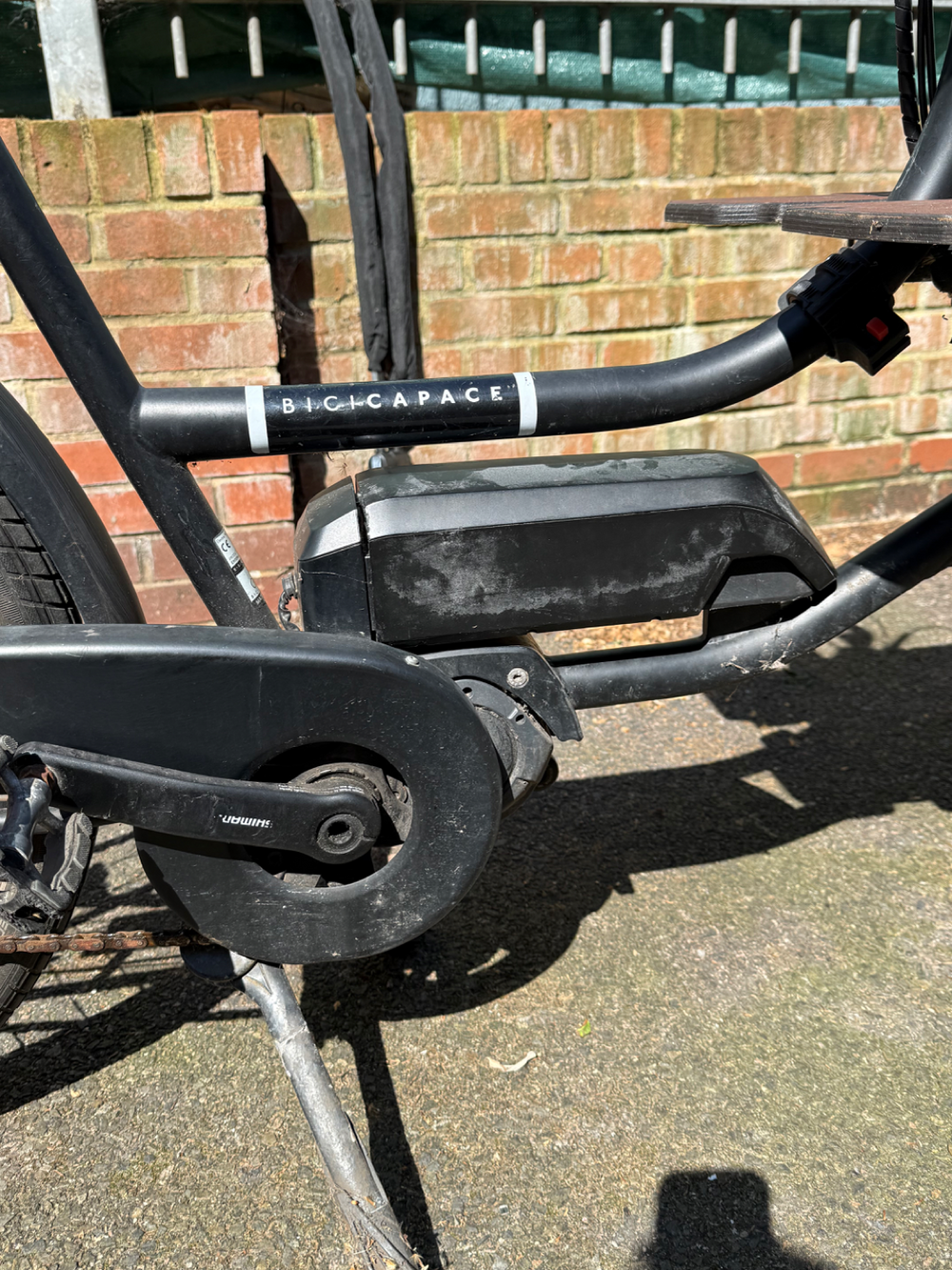 Bicicapace Pelican 2024